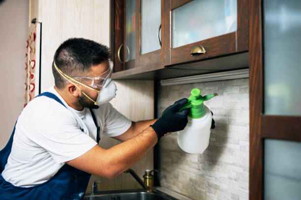 Best Best Pest Control Companies  in Hollis, OK