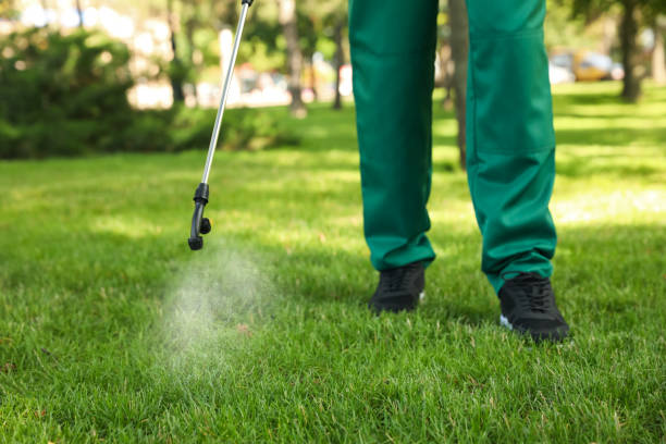 Best Cockroach Control Services  in Hollis, OK