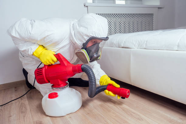 Best Affordable Pest Control Services  in Hollis, OK