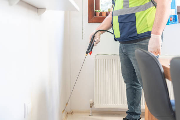 Best Pest Control Treatment  in Hollis, OK
