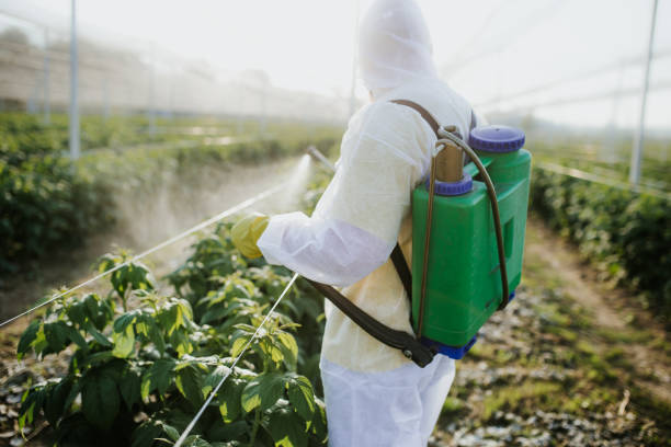 Best Mosquito Control Services  in Hollis, OK